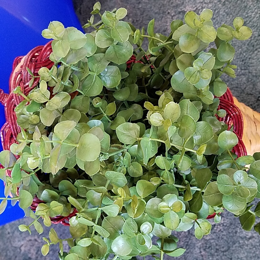Cornucopia with Greenery - Picture 2 of 12